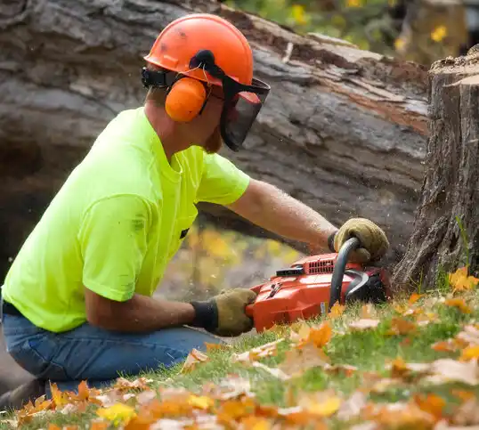 tree services Montpelier